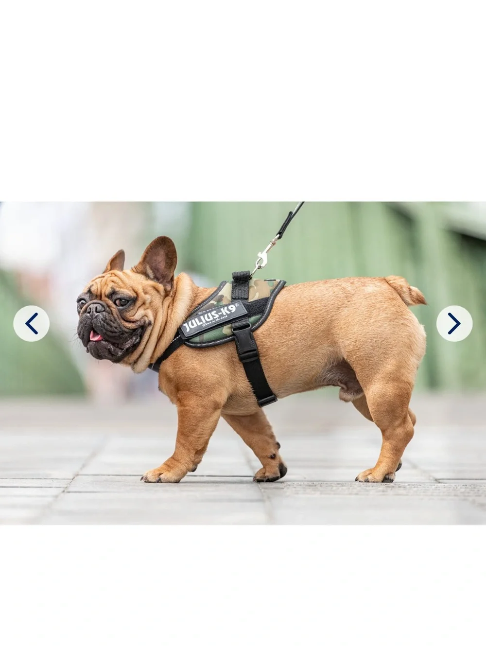 Julius K9 Camo Dog Harness- size small (mini)